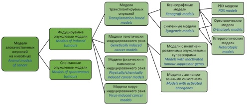 Изображение на обложке