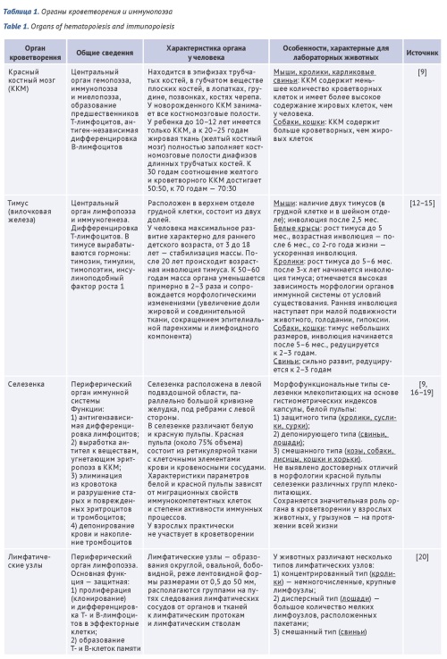 Изображение на обложке