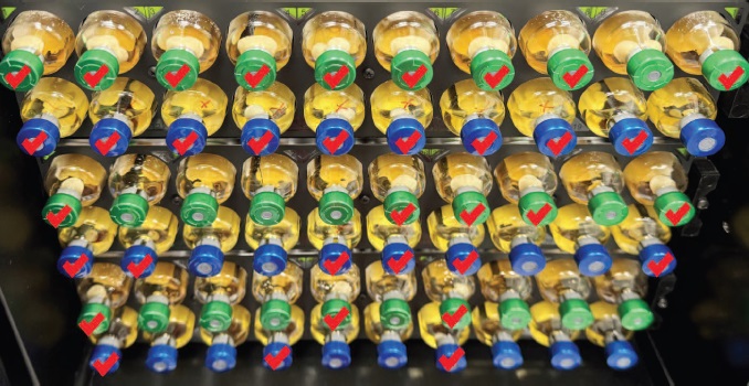 Изображение на обложке