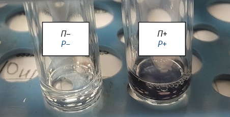Изображение на обложке